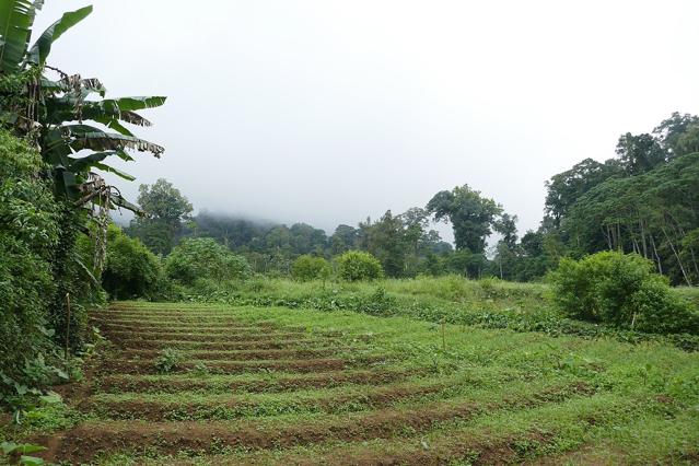 Parque Natural Obô de São Tomé